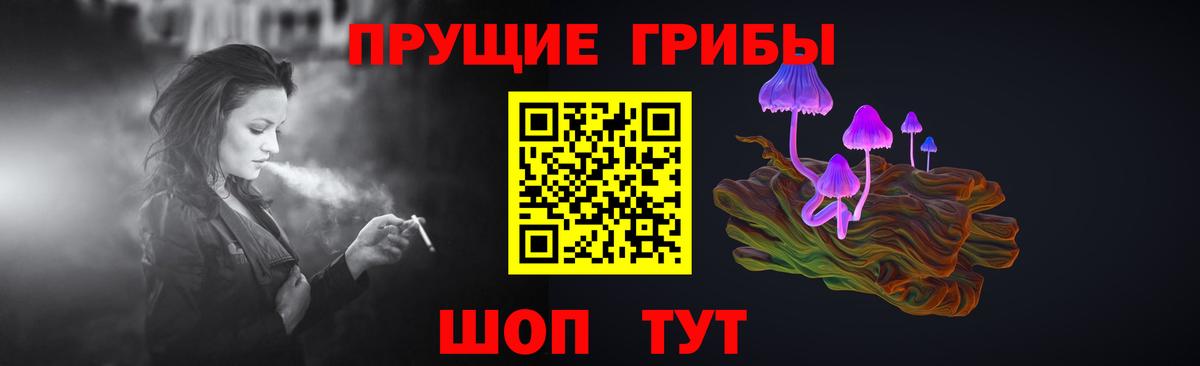 Псилоцибиновые грибы Psilocybe  Вход с VPN  Гай 
